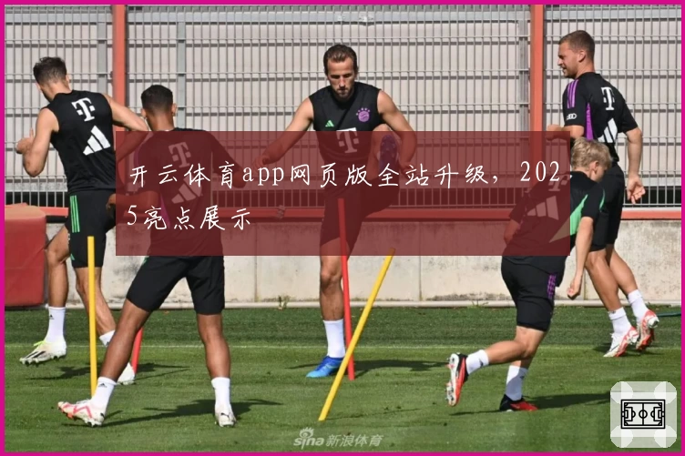 开云体育app网页版全站升级，2025亮点展示